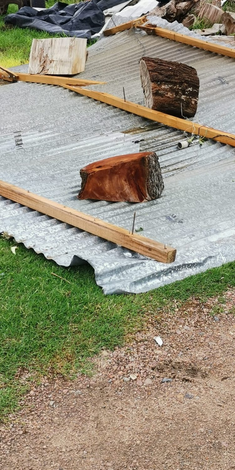 Fuerte tormenta de lluvia y viento provocó destrozos en varias localidades de Florida
