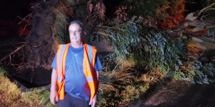 Fuerte tormenta de lluvia y viento provocó destrozos en varias localidades de Florida