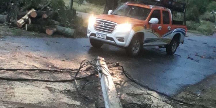 Fuerte temporal dejó a 30.000 usuarios sin energía eléctrica al norte del río Negro