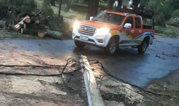Fuerte temporal dejó a 30.000 usuarios sin energía eléctrica al norte del río Negro