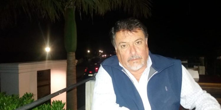 Ing. Agr. Verdera: plantar girasol sigue siendo una buena alternativa para diversificar la construcción de la canasta de precios