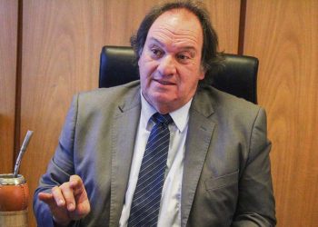 Lust: “El incendio de los bosques es la catástrofe ambiental más grande de nuestra historia”