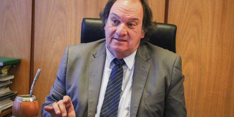 Lust: “El incendio de los bosques es la catástrofe ambiental más grande de nuestra historia”