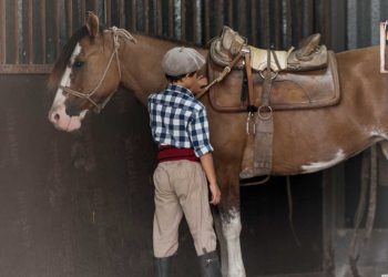Distorsiones contra el trabajo rural