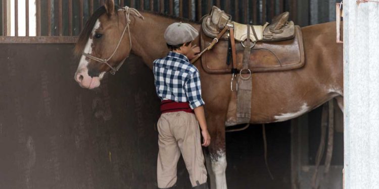 Distorsiones contra el trabajo rural