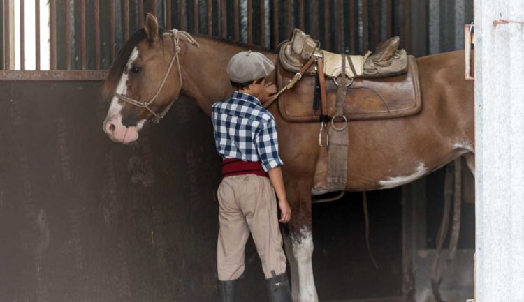 Distorsiones contra el trabajo rural