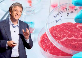 Información y democracia