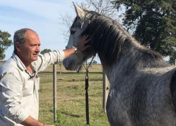 Julian Cabrera de USU: “hay un centralización alarmante”