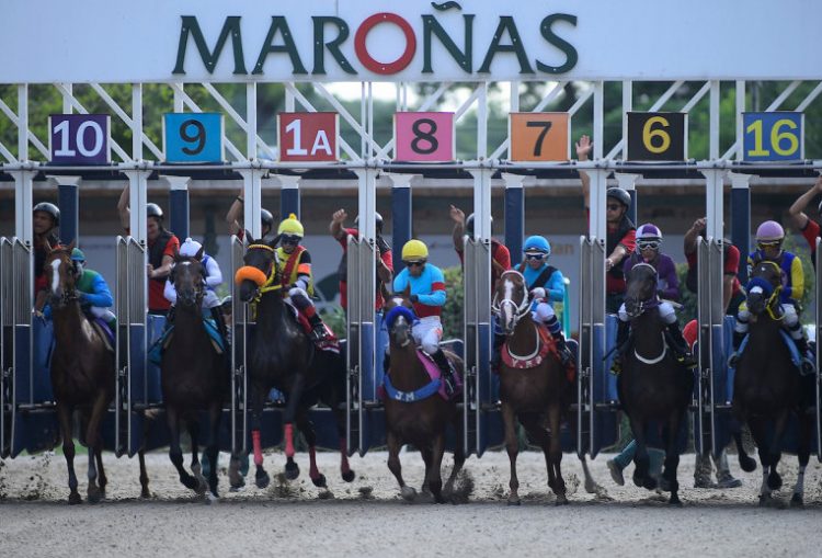 El Turf se viste de fiesta con el Gran Premio Ramírez en Maroñas