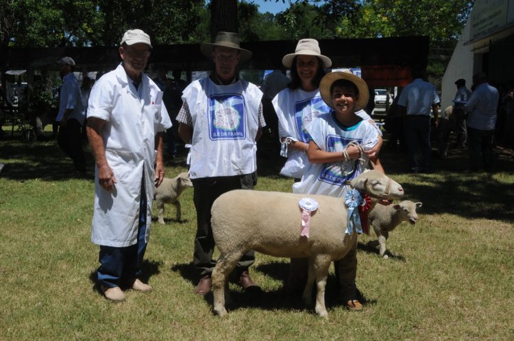 Premios de la Expo Ovina 2022