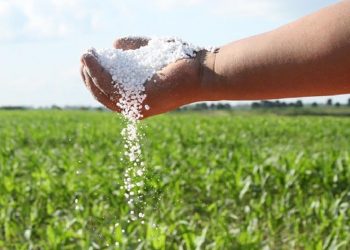Gestiones de Brasil para reducir costos de fertilizantes son “un movimiento estratégico”