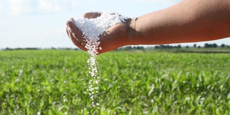 Gestiones de Brasil para reducir costos de fertilizantes son “un movimiento estratégico”