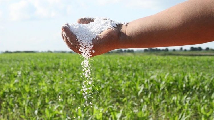 Gestiones de Brasil para reducir costos de fertilizantes son “un movimiento estratégico”