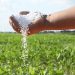 Gestiones de Brasil para reducir costos de fertilizantes son “un movimiento estratégico”