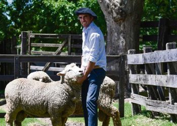 Las 10 de La Mañana: Agustín Cardozo