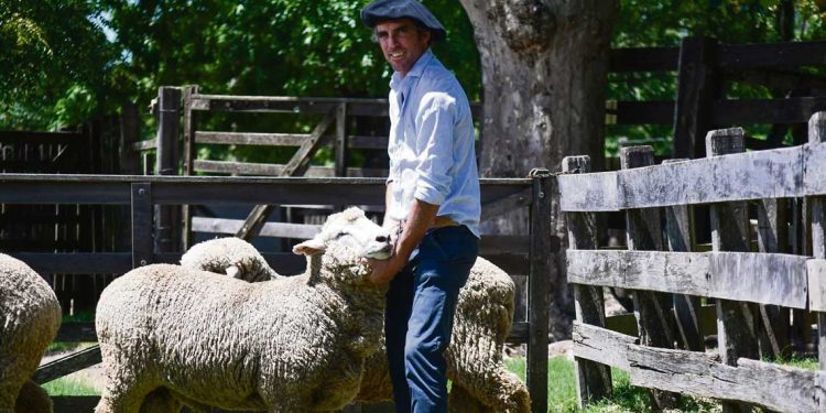 Las 10 de La Mañana: Agustín Cardozo