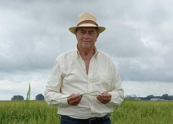 Hugo Manini Ríos: El BROU ha sido uno de los pilares del sector