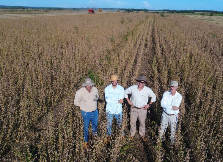 La falta de agua ha impactado en los cultivos de la región