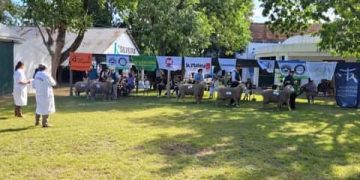 Federico Rodríguez: Expo Melo tiene “protagonismo genético”