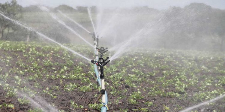 El riego: ¿La nueva revolución productiva?