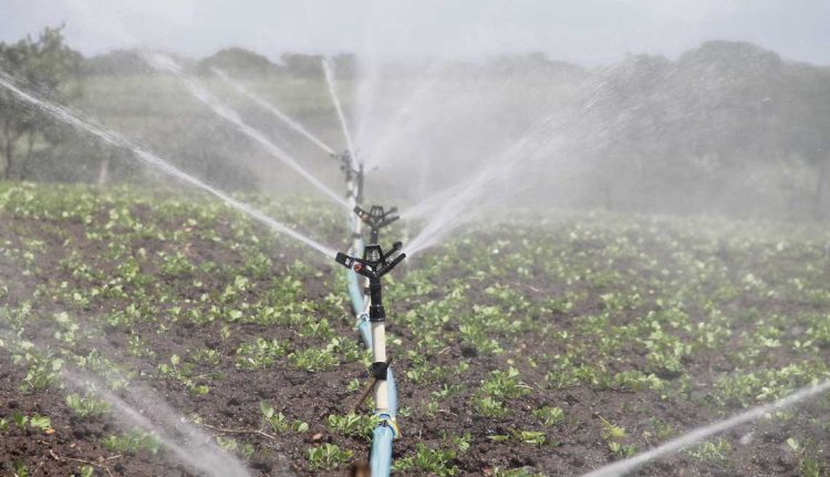 El riego: ¿La nueva revolución productiva?