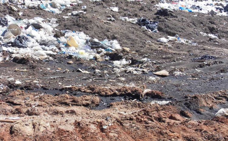 Salto: Denuncia por residuos cloacales volcados “a cielo abierto”