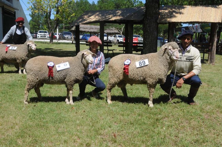 Premios de la Expo Ovina 2022