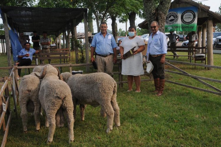 Premios de la Expo Ovina 2022