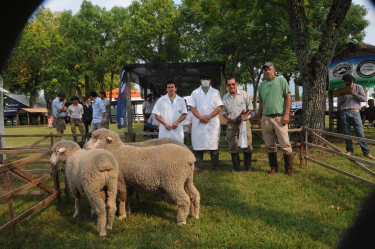 Premios de la Expo Ovina 2022