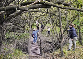 El turismo rural se ha consolidado generando empleo en el interior del país