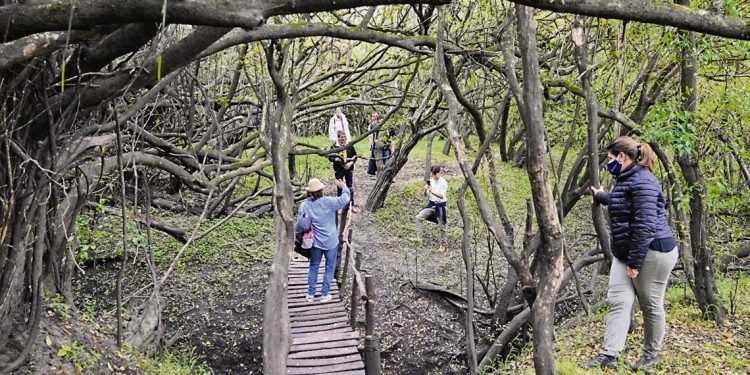 El turismo rural se ha consolidado generando empleo en el interior del país