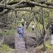 El turismo rural se ha consolidado generando empleo en el interior del país