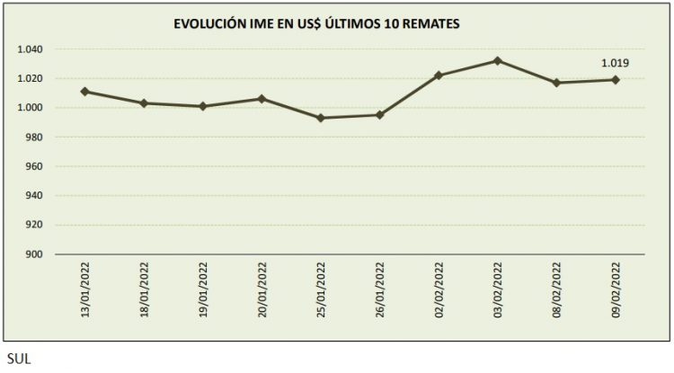 El precio promedio de las lanas bajó a US$ 10,19