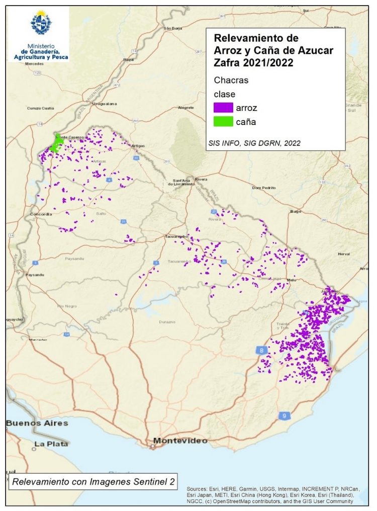 El MGAP publicó mapa con la producción de caña de azúcar y arroz en todo el país