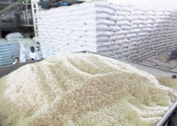 El arrocero es “un sector con capacidad de aportar mucho más a la economía del país”