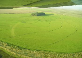 El MGAP publicó mapa con la producción de caña de azúcar y arroz en todo el país