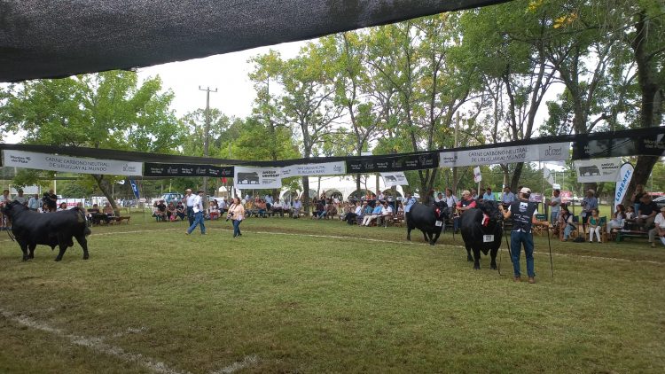 Animales de gran nivel dieron realce a la 108ª Expo Durazno