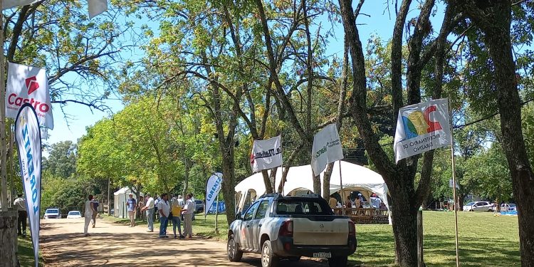 Animales de gran nivel dieron realce a la 108ª Expo Durazno