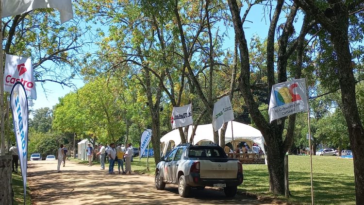 Animales de gran nivel dieron realce a la 108ª Expo Durazno
