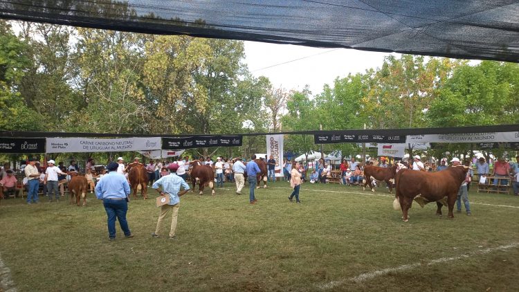 Animales de gran nivel dieron realce a la 108ª Expo Durazno