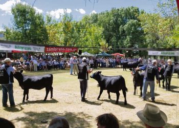 Alejandro Zambrano: La Expo Durazno llega en un muy buen momento para la ganadería