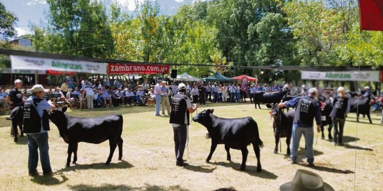 Alejandro Zambrano: La Expo Durazno llega en un muy buen momento para la ganadería