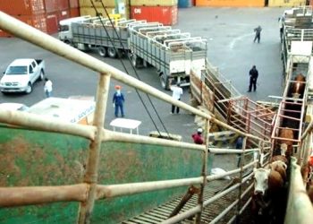 El agro uruguayo: Mitos y realidades