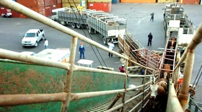 El agro uruguayo: Mitos y realidades