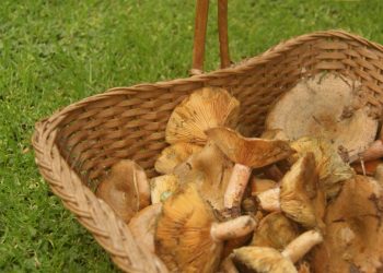 Piedras Coloradas en su desafío por la reconstrucción productiva