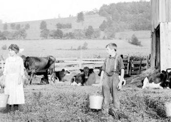 Del Lector: ¡A retozar!