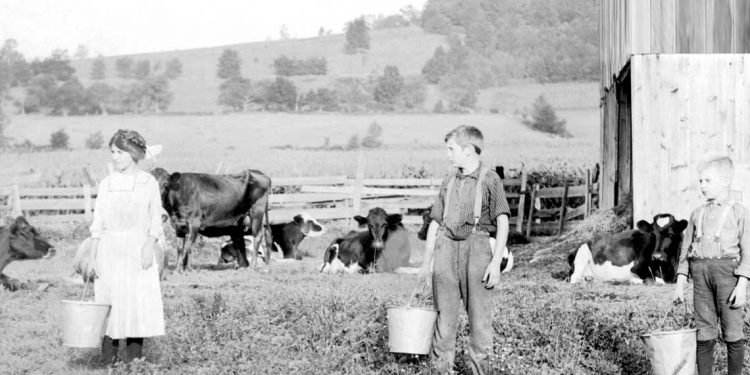 Del Lector: ¡A retozar!