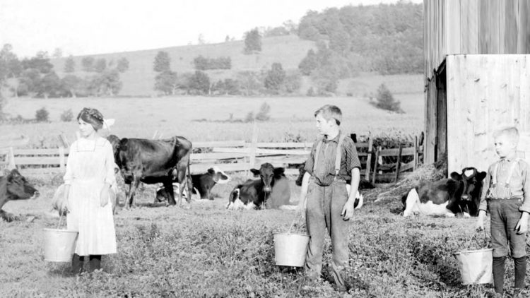 Del Lector: ¡A retozar!