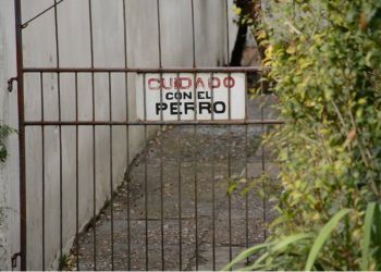 Agresiones de perros contra personas plantean serios problemas de seguridad y convivencia