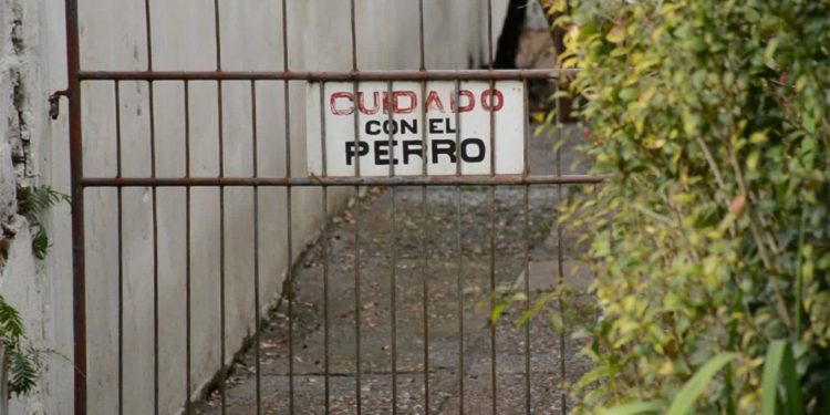 Agresiones de perros contra personas plantean serios problemas de seguridad y convivencia